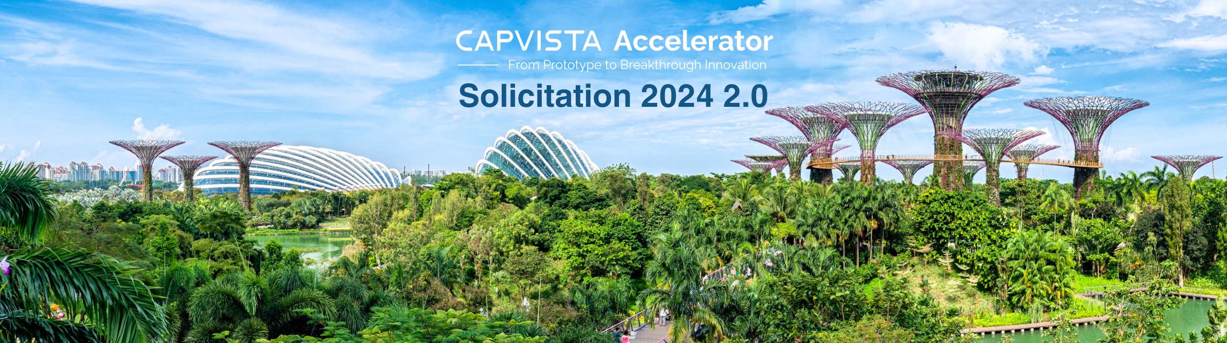 Cap Vista Accelerator - Cap Vista Accelerator